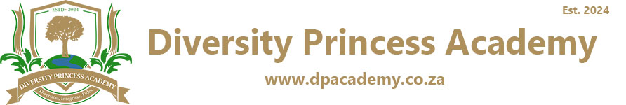 Diversity Princess Academy